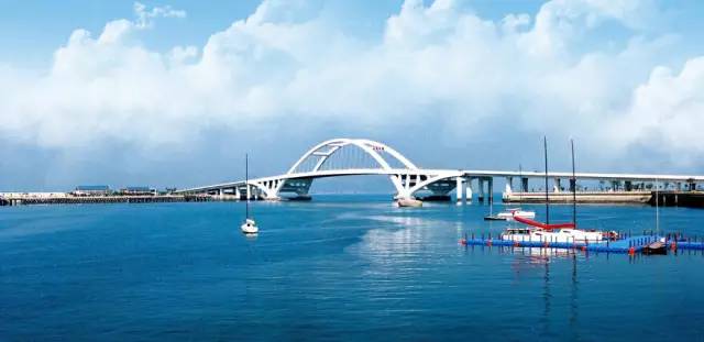 你为什么定居厦门,多少人离开了厦门