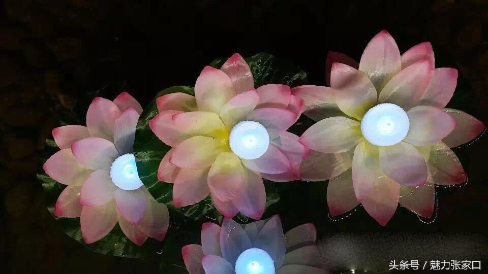 张家口五一广场有没有猜灯谜,张家口猜灯谜