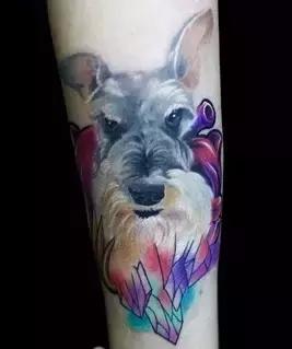 叁BO|你们眼中的“异类坏孩子”