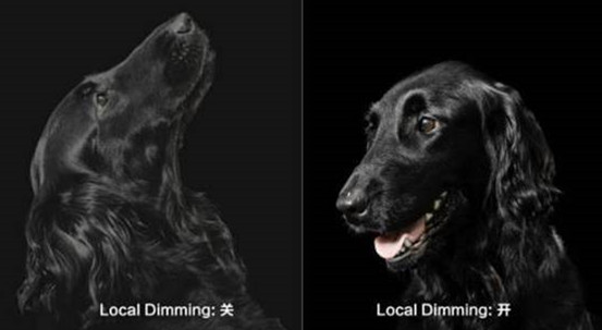 海信实力高光时刻,海信从孤注一掷到全面出击