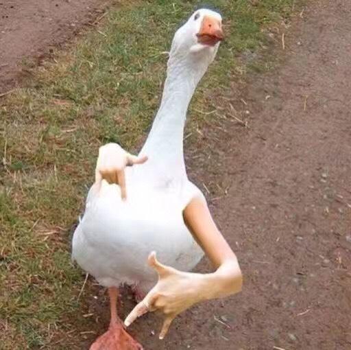 平民价格爽肤水油皮用哪种,平民爽肤水