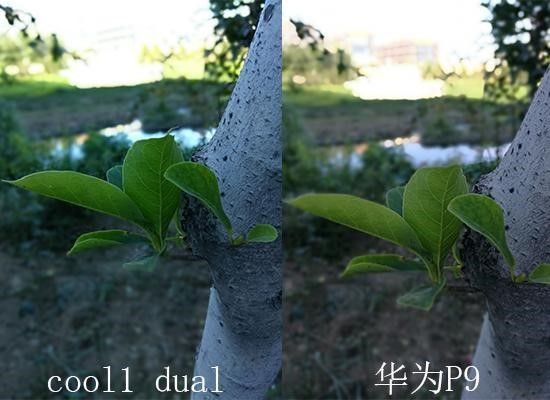 iphone7plus拍照黑屏,iphone7plus拍照冷白