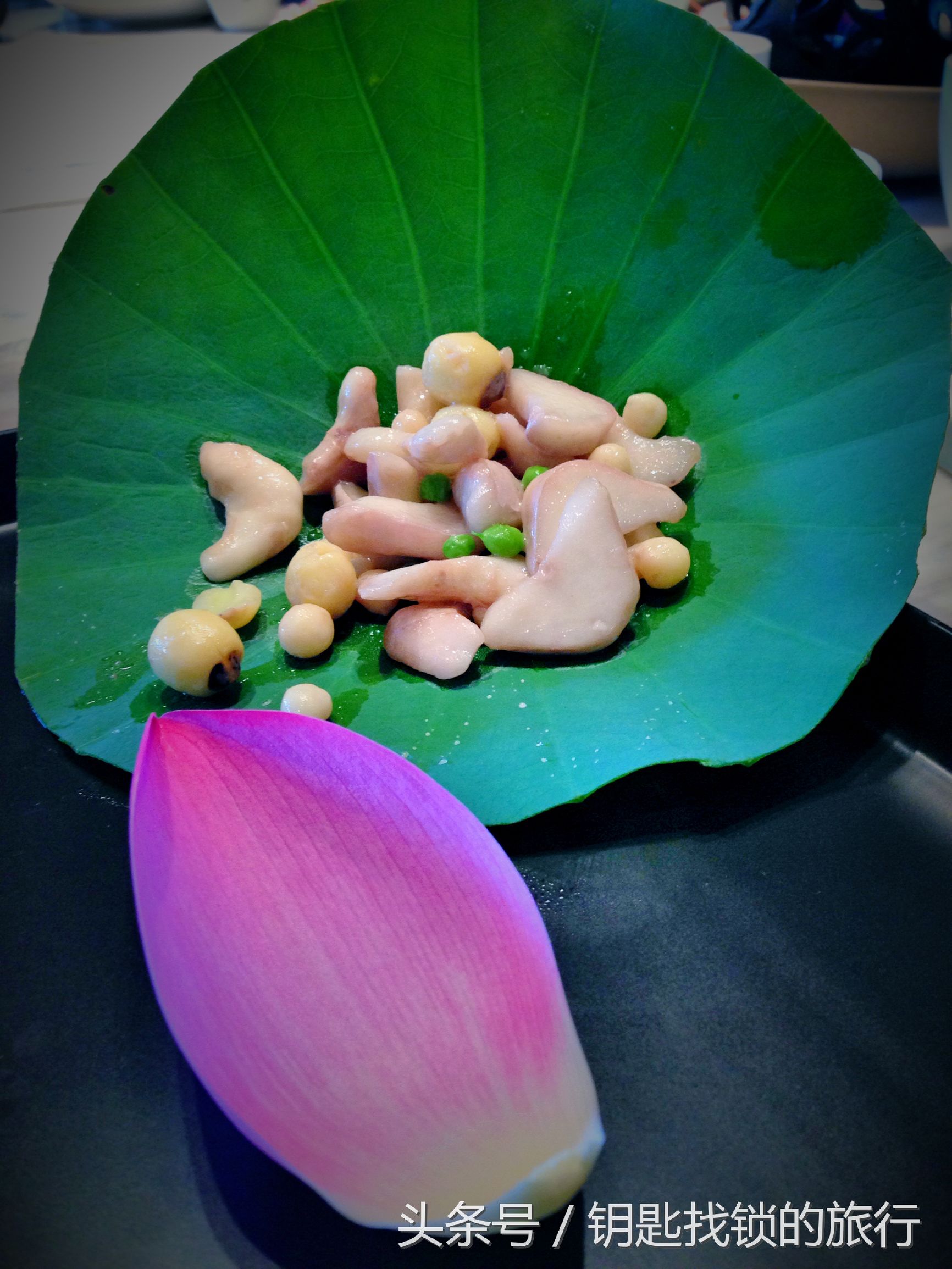 来苏州不去拙政园可以去哪里,去苏州不去景点可以到什么地方耍