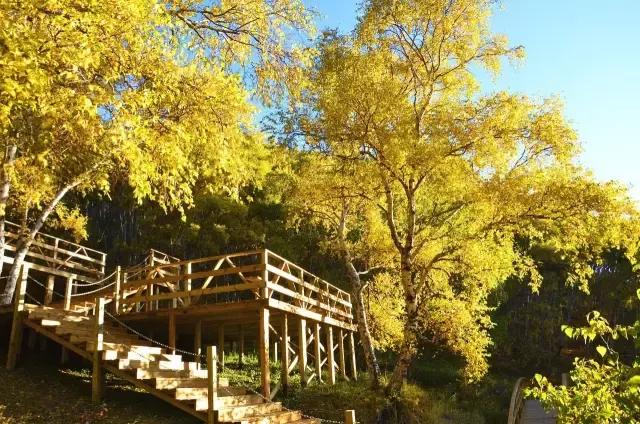 辉腾锡勒黄花沟风景,辉腾锡勒大草原黄花沟的美景