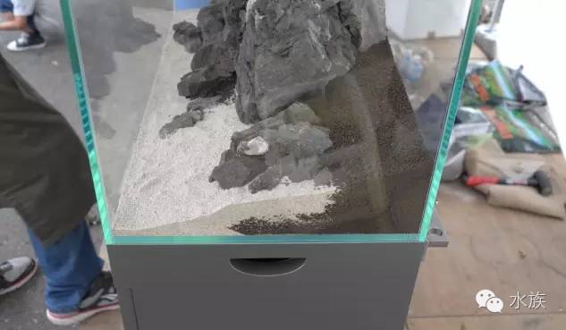 ada开缸第二天,ada开缸