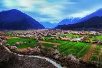 《西海情歌》背后的爱情故事,揭秘《西海情歌》背后的爱情故事