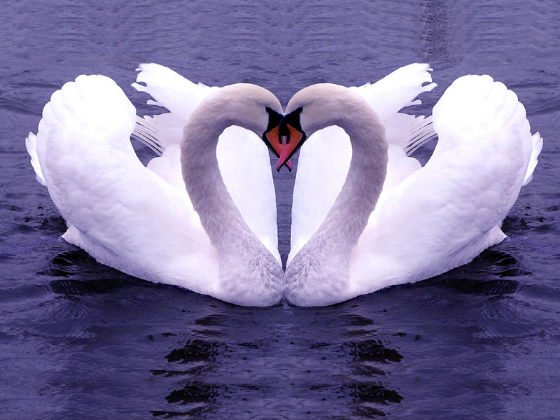 黑龙江网民大呼——还我一个清净的朋友圈！