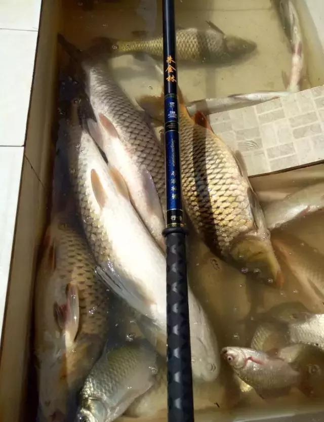 閽撻奔娓旇幏鎴樻姤,閽撻奔浜虹鎭╃埍