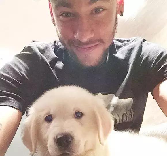 梅西狗狗,c罗和梅西家的顶级恶犬