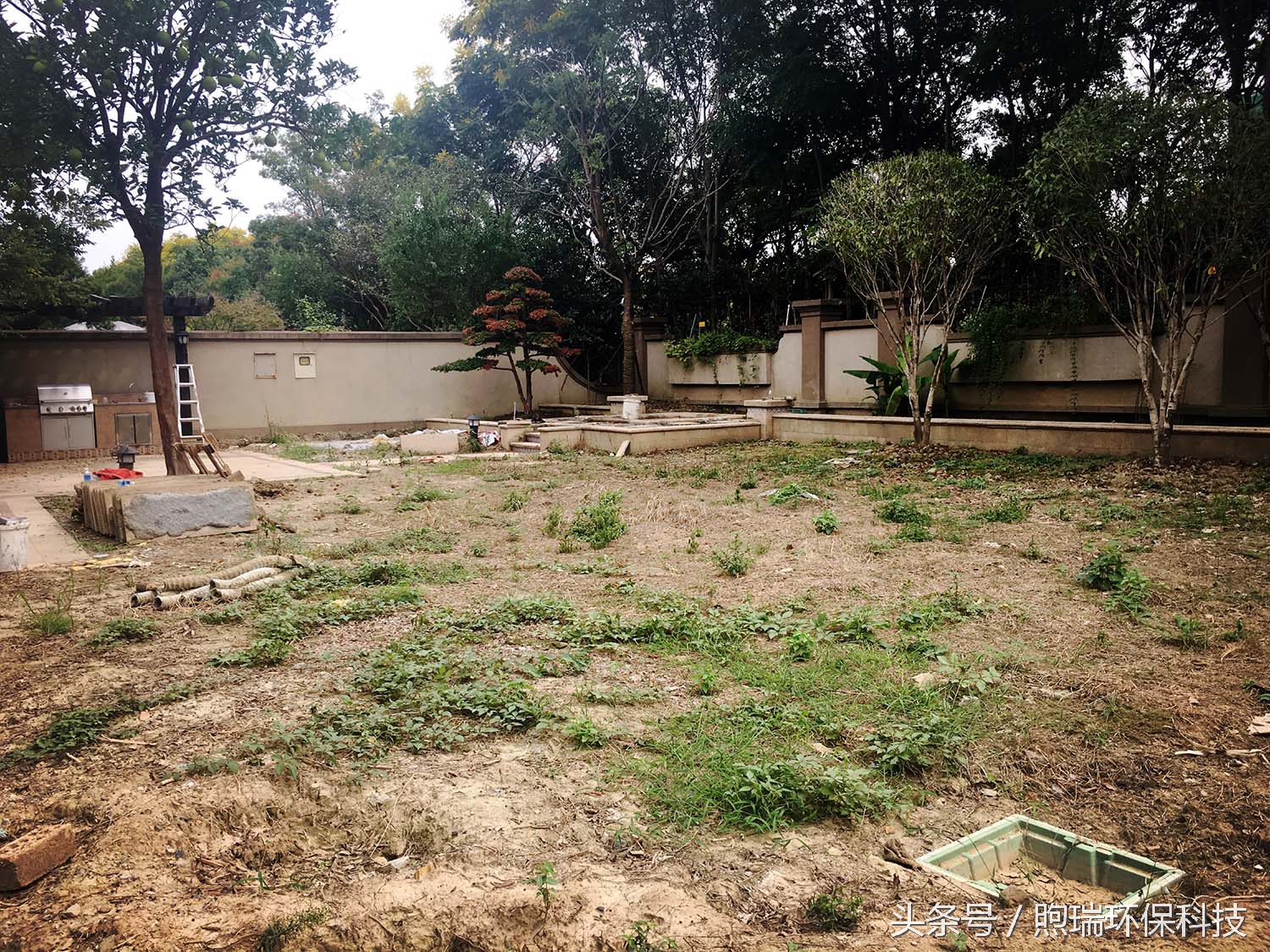 锦鲤鱼池花园庭院,最好看的长方形入户花园锦鲤鱼池