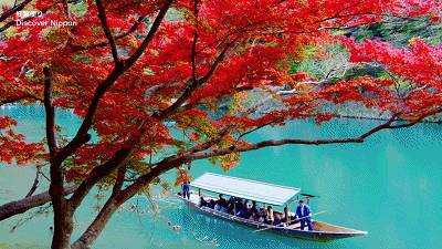 日本写给生活的情书,寄给时光的信件