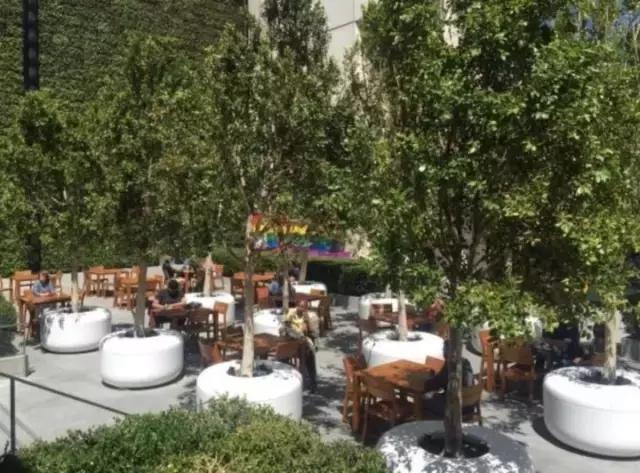 你盼着给祖国母亲过生日,我瞅着他们在自家种树