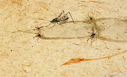 关于秋虫的古诗词,古诗词中含有秋的诗句有哪些