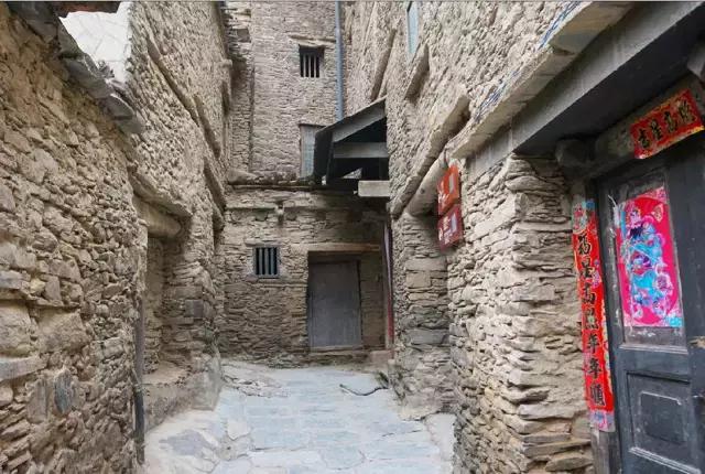 奇葩牧场|不养牛不养羊,居然养这个?