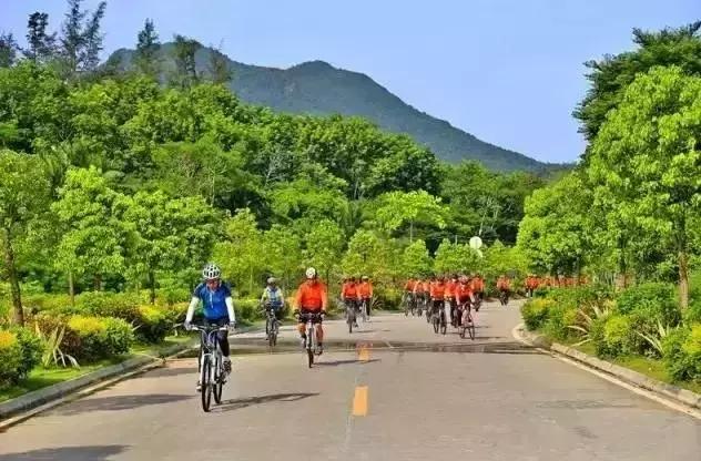 海南万宁国庆旅游攻略,万宁十大旅游必买品