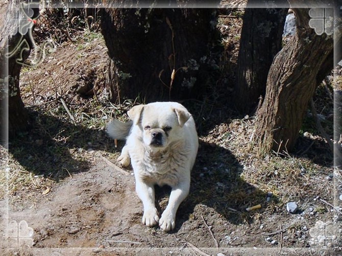 2015游云南玉龙雪山 (昆明玉龙雪山之旅)