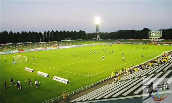 日本有哪些顶级专业足球场,日本有几个顶级足球场