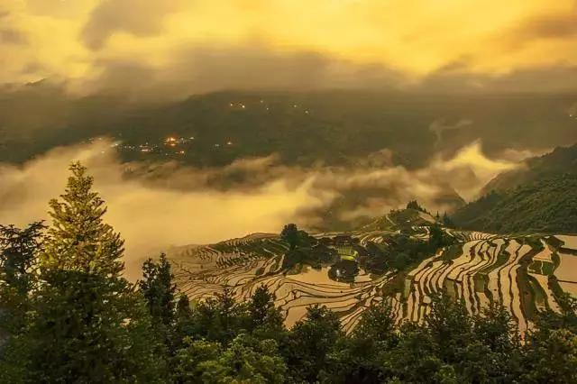 武夷山高档民宿,武夷山好住宿