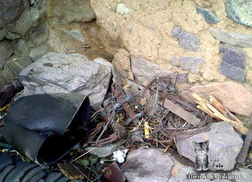 怀柔的北京生活,野性内蒙古