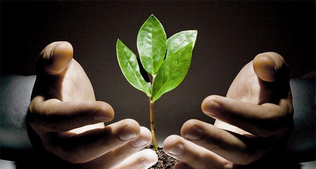 你是人生的最美，我愿意接受每一个足迹