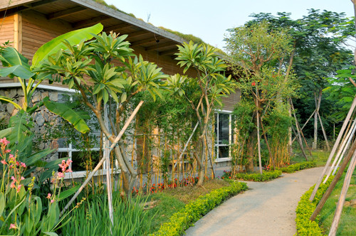 〈花开园〉顺德一间靓到“氹”一声的花园食府，赏花喂牛亲子
