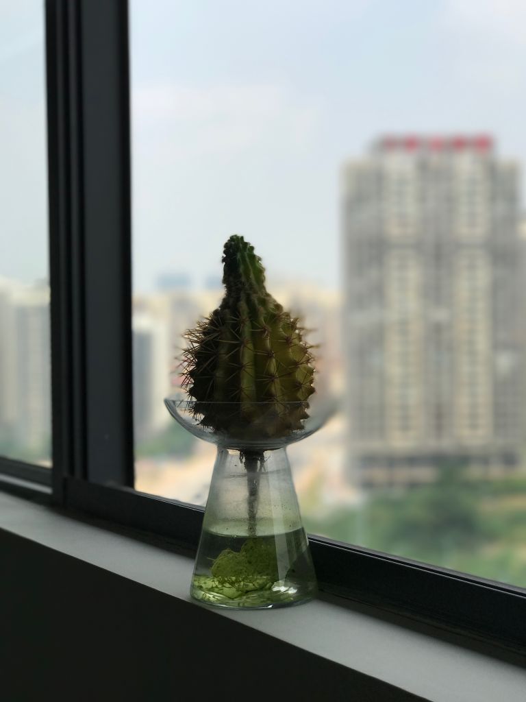 iphone7plus评测,苹果7plus测评还值得购买吗