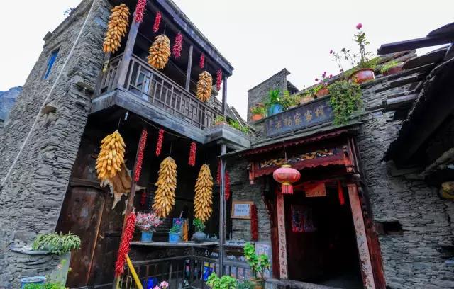 奇葩牧场|不养牛不养羊,居然养这个?