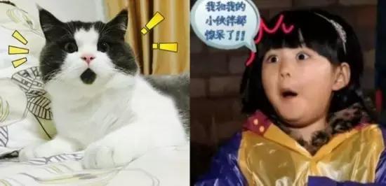 tank007紫光手电有什么作用 (tank007有紫外线手电吗)