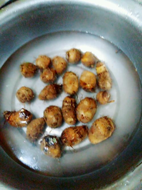 广式芋头糕图片,广式芋头糕最正宗做法