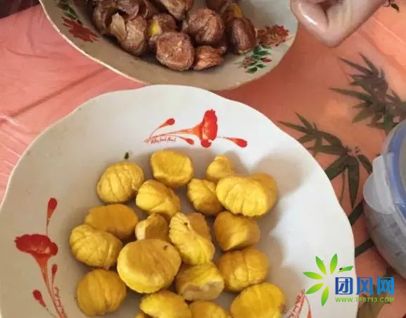 团风深山古稀老人的板栗梦.....