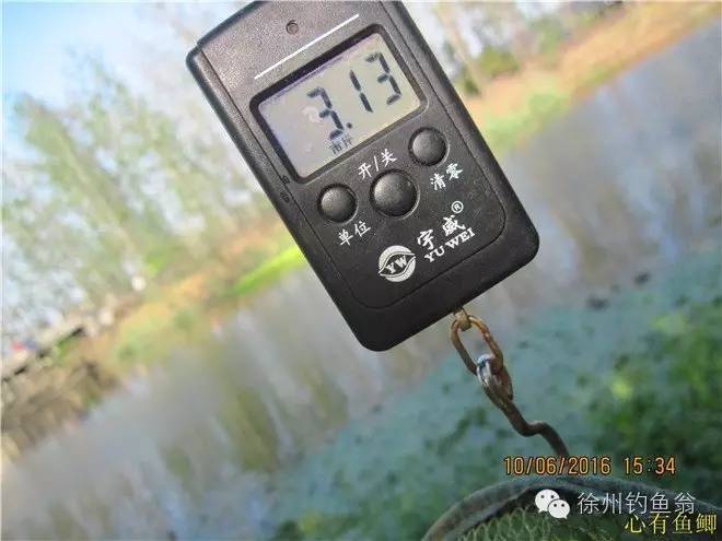 徐州铜山区野钓最新地点,小记野河钓鱼