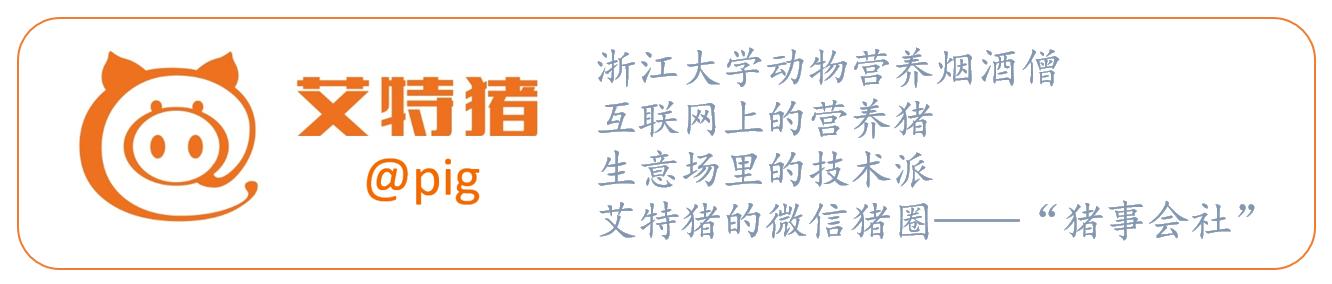 肠道渗漏是什么原因引起的,肠道渗漏怎么检查