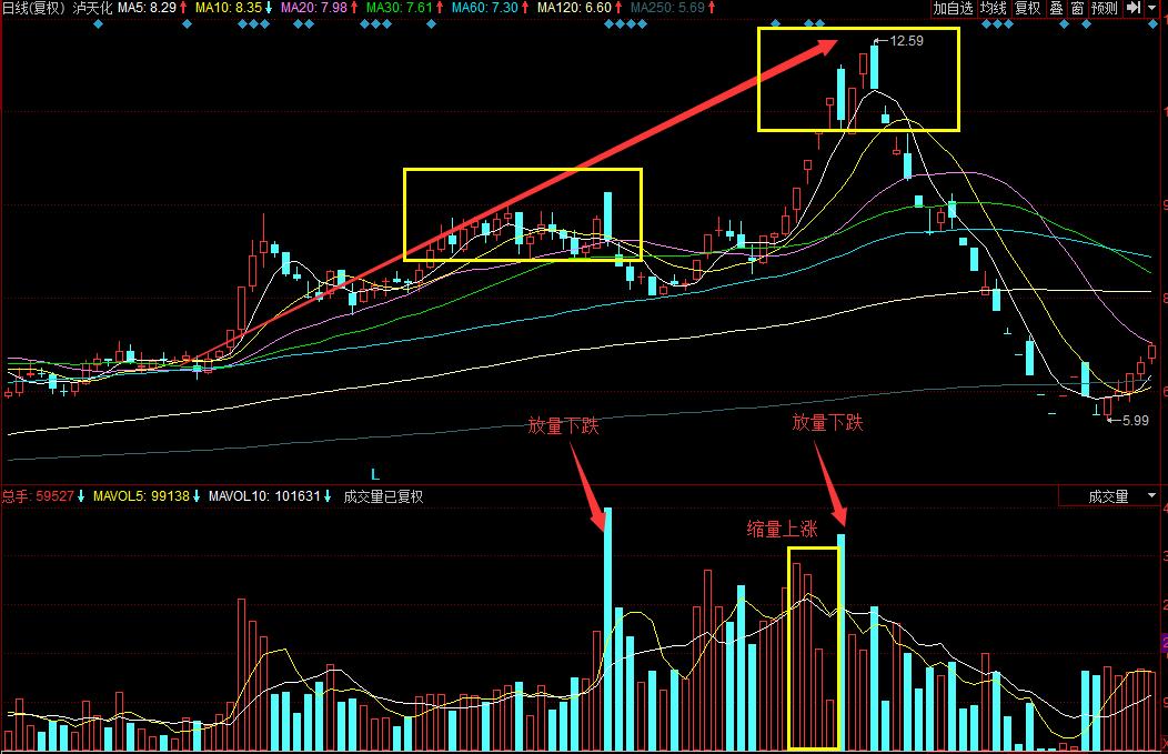 在股市里输钱了怎么办,在股市里散户炒股亏损
