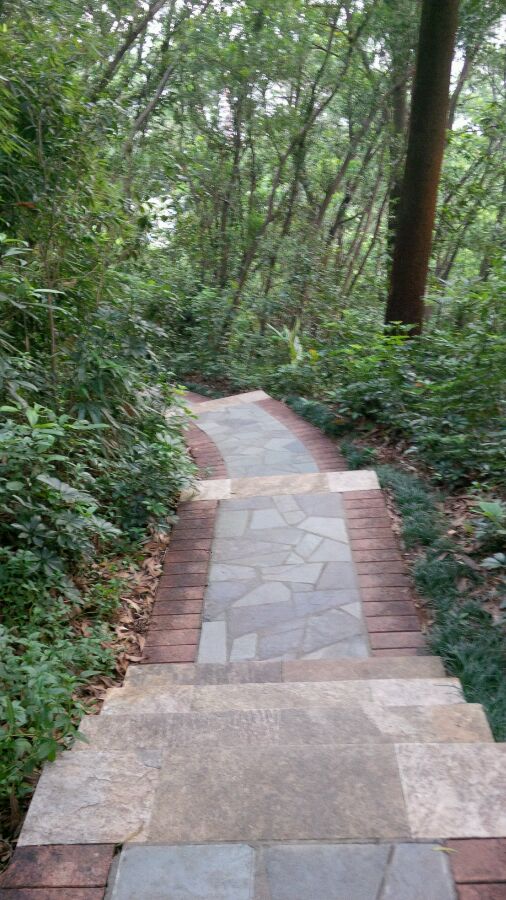 黑莓手机开箱最新款,黑莓手机功能开箱