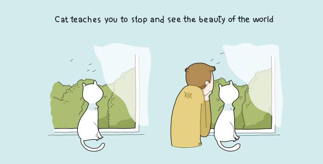 从把它带回家的那一刻起，相信你的生活就已经变了​