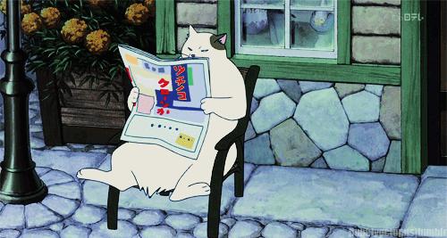 都是套路过关教程,小学英语面试结构化问答套路