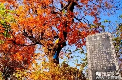 阿里腾讯参与乡村振兴,阿里农村扶贫