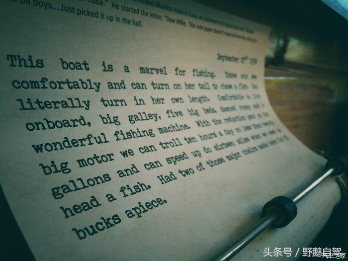 野鹅旅行,野鹅自驾无人区