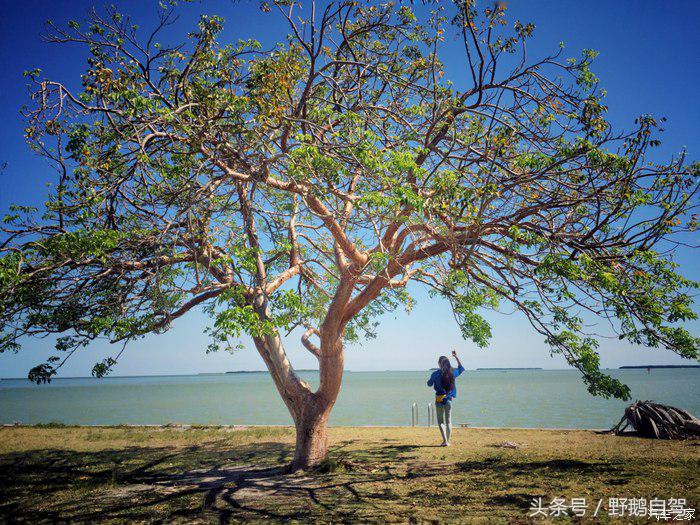 野鹅旅行,野鹅自驾无人区