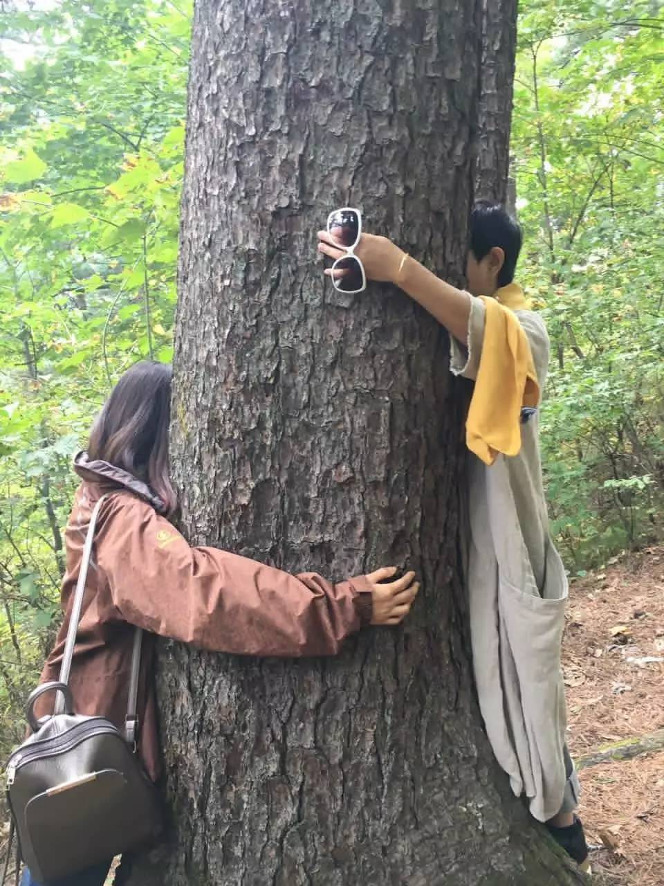 暂存于这个世界的我们，踏寻被遗忘的文化密码