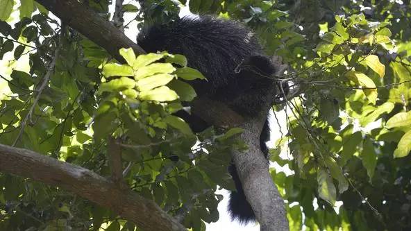 朋友圈发海边泳衣照好不好,朋友圈晒沙滩泳装