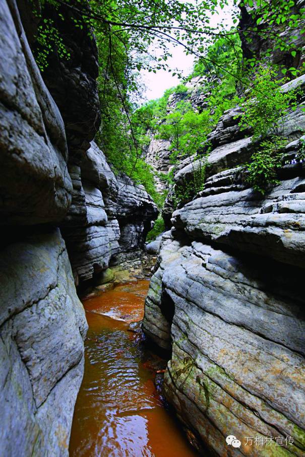 荐读际山枕水万柏林，钟林毓秀河之西（四）