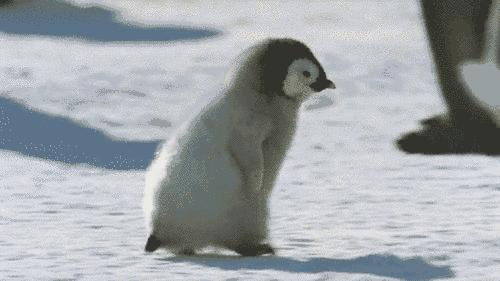 为什么韩国女孩子那么美,为什么韩国的女生这么美