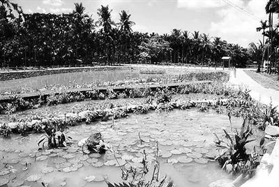 国庆美食一日游,国庆旅游各地美食推荐