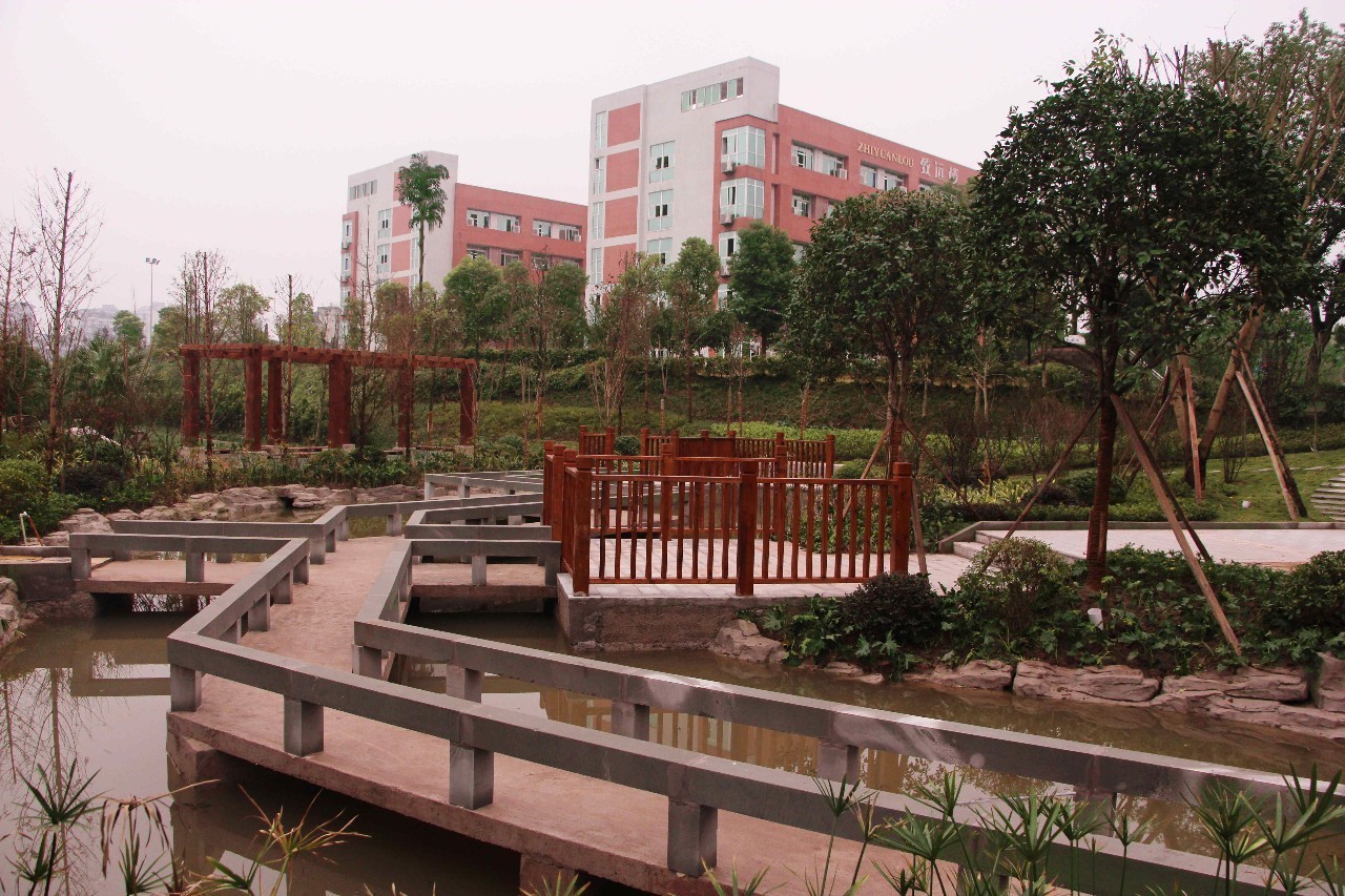 北碚区第四十八中学初中,重庆北碚48中学校