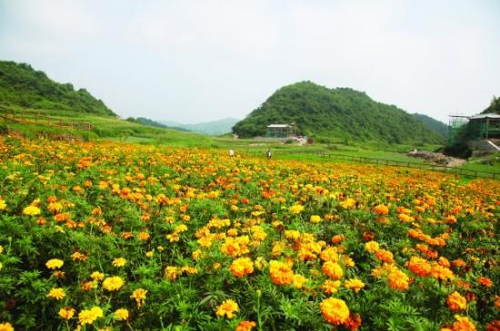 贵阳市适合踏青的公园,深秋去哪里西宁