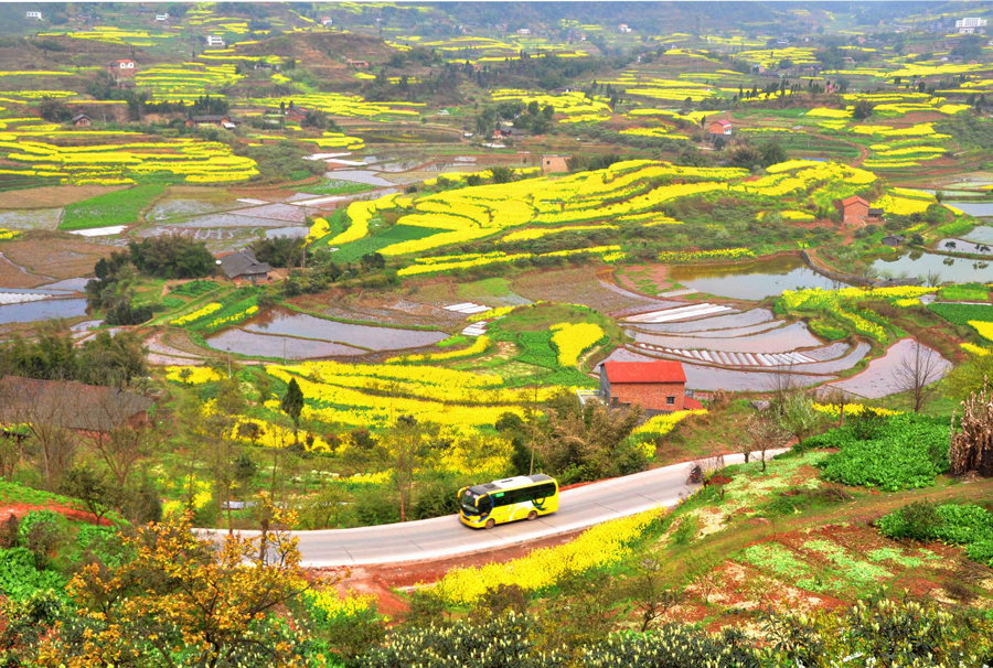 记者自驾采访体验：云南风景好，重庆的路好