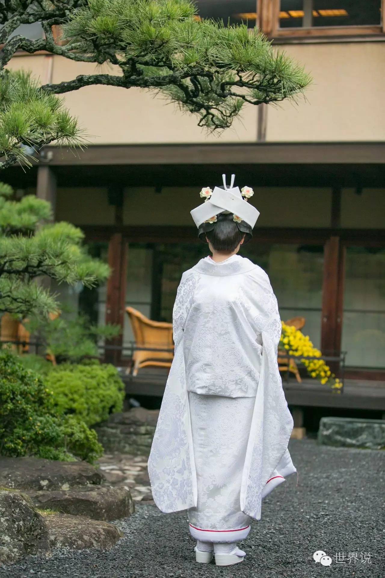 福原爱大婚视频,福原爱的几段婚姻