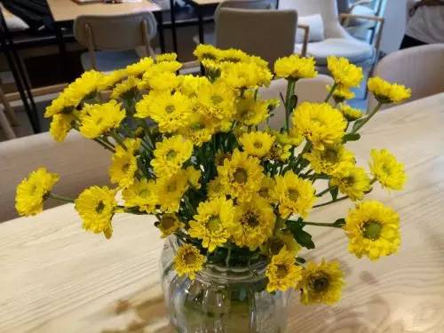 金立商务手机推荐学生党,金立4.7寸手机推荐