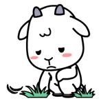 「妹逗体育」福地在哪里呀福地在哪里！国足你的下一个福地到底在哪里？